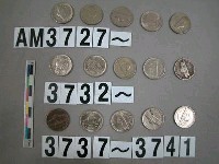 藏品(美國5分硬幣)的圖片